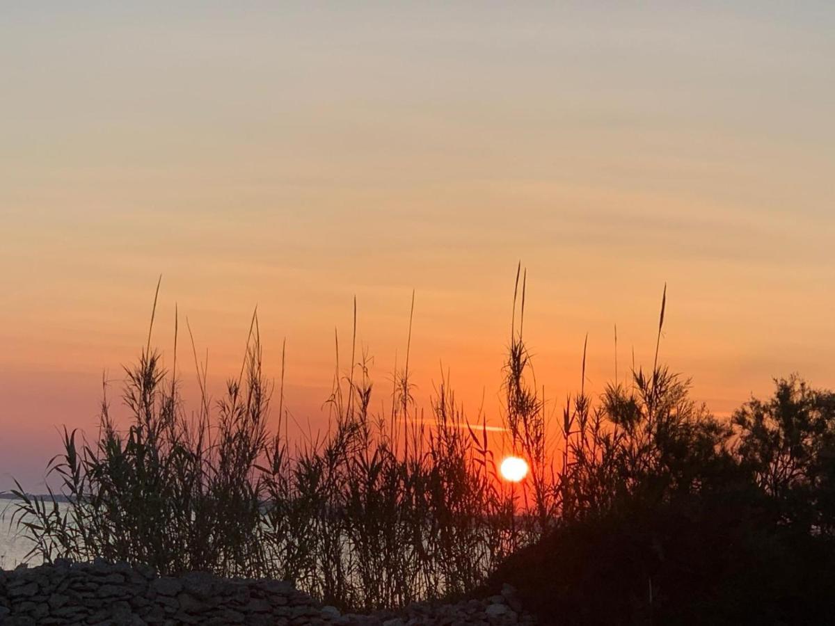 Suite Ad Maiora Torre Ovo Eksteriør billede